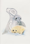 Seal
